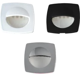 Courtesy & accent lights